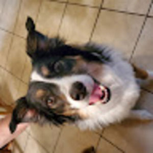 Meet your Posher, Barry